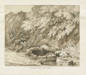 Codsall Wood - Brimstone Well: sepia tegning av Thomas Peploe Wood