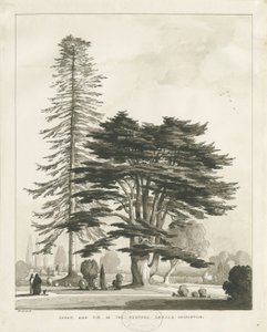 Haughton Rectory: sepia vask tegning av Thomas Peploe Wood