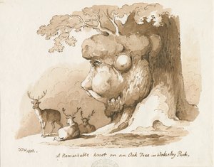 Wolseley Park - Knot on an Oak Tree: penn- og sepia-tegning av Thomas Peploe Wood