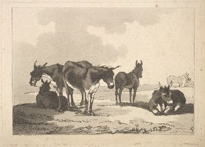 En gruppe på fem esler, tre stående, to liggende, 1783-87. av Thomas Rowlandson