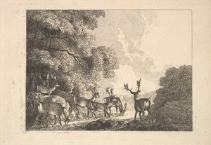 En gruppe hjorter som drikker, 1784-88. av Thomas Rowlandson