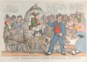 En sjelden anskaffelse til Royal Menagerie, 28. juli 1815., 28. juli 1815. av Thomas Rowlandson