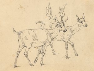 Album tegning av Thomas Rowlandson