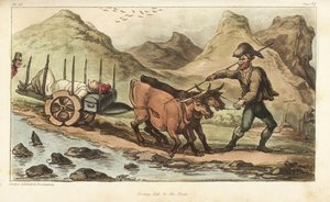Fenrik Johnny Newcome, syk av dysenteri, tatt med oksevogn til Salamanca, Spania. Håndfarget kobberstikk tegnet og etset av Thomas Rowlandson fra oberst David Roberts