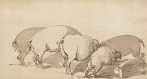 Griser ved et fôrtrau av Thomas Rowlandson