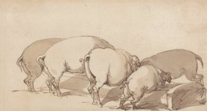 Pigs at a Trough, ca. 1790 (grafitt med penn og blekk og brun vask på papir) av Thomas Rowlandson