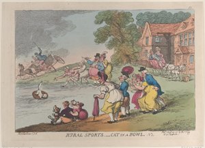 Landlig sport: Cat in a Bowl, 24. april 1811., 24. april 1811. av Thomas Rowlandson