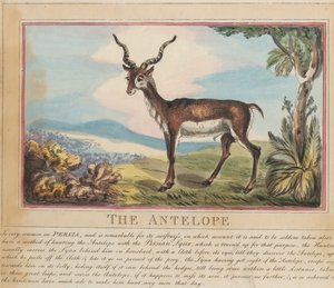  av Thomas Rowlandson