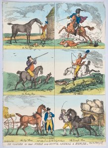 Seks klasser av det edle og nyttige dyr en hest, 10. oktober 1811., 10. oktober 1811. av Thomas Rowlandson