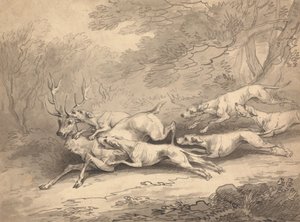  av Thomas Rowlandson