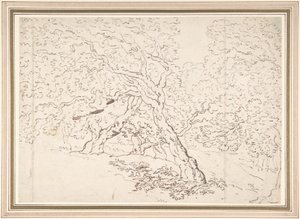 Studie av trær av Thomas Rowlandson