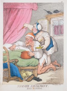 Sommerfornøyelse. insektjakt av Thomas Rowlandson