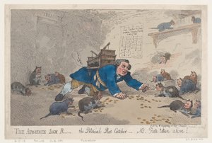 The Apostate Jack Robinson, The Political Rat Catcher-N.B. Rotter tatt levende!, mars..., 1. mars 1784. av Thomas Rowlandson