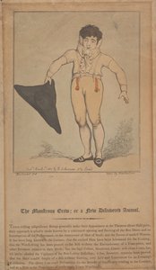  av Thomas Rowlandson