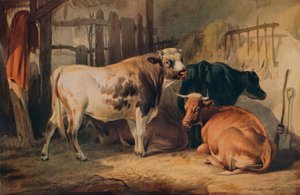 En okse og tre kyr i en stall, c1856