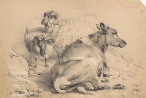 En ku og to værer av Thomas Sidney Cooper