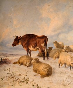 Kyr og sauer i Snowscape, 1864