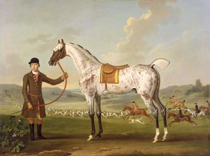 Scipio, oberst Roches flekkete jeger, ca. 1750