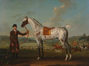 Scipio, en flekket jeger, eiendommen til oberst Roche