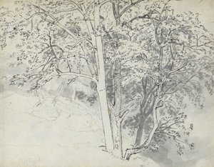 Studie av trær av Thomas Stothard