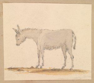  av Thomas Streatfeild