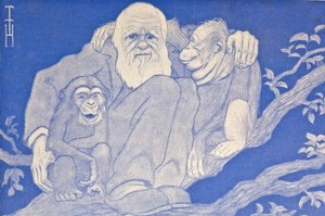 Tegneserie Darwin fra 1909 med apedetaljer