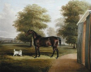 En Bay Horse med en terrier av Thomas W. Bretland