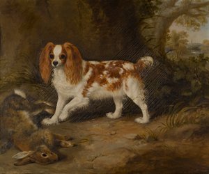 En spaniel med en død hare, ca. 1822-74 (olje på lerret) av Thomas W. Bretland