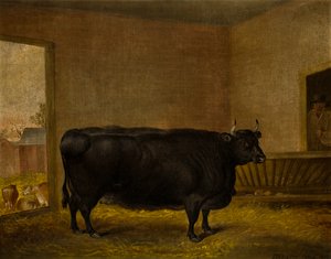 A Prize Bull: A Fat Kerry Cow, ca. 1819 (olje på lerret)