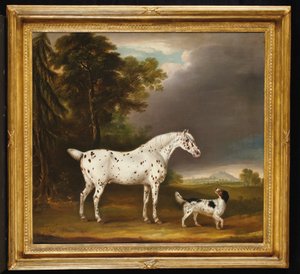 Appaloosa hest og spaniel, 1807