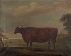 Røde Devon kviger i landskap, ca. 1812 (olje på lerret)