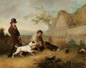 Rottefangst
