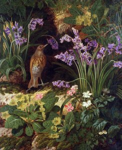 Sangtrøst av Thomas Worsey