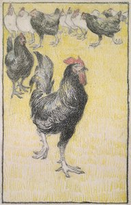 Hane, etterfulgt av svarte og hvite høner (grafitt med svart og farget kritt på hvitt papir, kantet med en linje i svart kritt) av Théophile Alexandre Steinlen