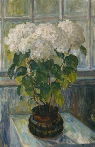 Hortensia av Thorolf Holmboe