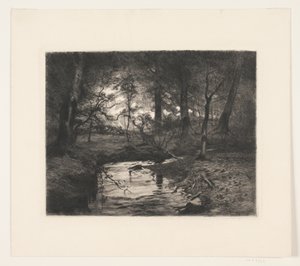 Aa i Borrevejle Skog