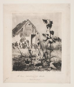Solsikkene ved huset