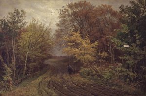 Vei i Borrevejle Skog. oktober dag