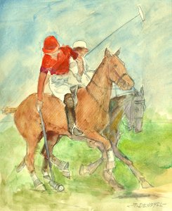 Polo kamp