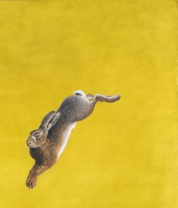 The Leap-Yellow, akvarell og gouache på buer 640gsm papir, 101,6 x 86,3 cm