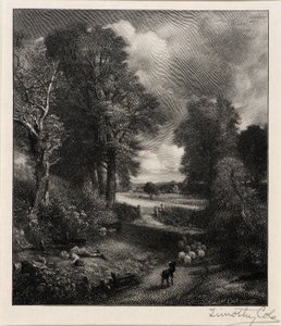  av Timothy Cole