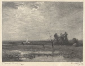Landskap, ettermiddag av Timothy Cole