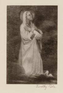  av Timothy Cole