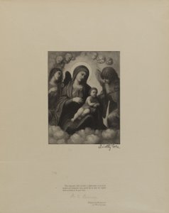  av Timothy Cole