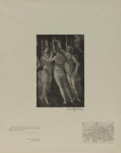  av Timothy Cole