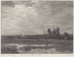 Lavlandet av Timothy Cole after John Francis Murphy
