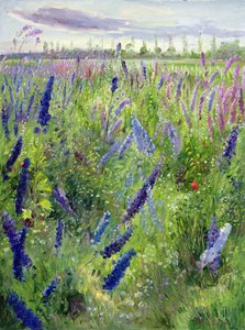 Delphiniums og Emerging Sun av Timothy Easton