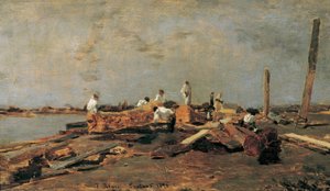 Rafters på Tisza