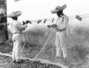 Fiskere med garn, Mexico, ca. 1926 av Tina Modotti