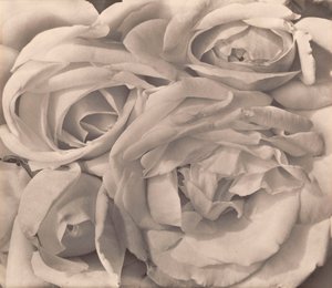 Roses, Mexico av Tina Modotti av Tina Modotti